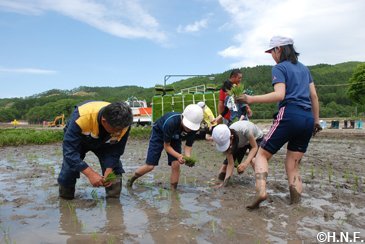 上厚真小田植え