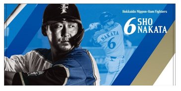 新品未使用 北海道日本ハムファイターズ ファンクラブ限定 タオルくじ 4枚セット ☆新品！未使用！日本ハムファイターズ ファンクラブ特典 限定