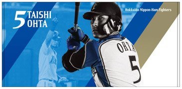 新品未使用 北海道日本ハムファイターズ ファンクラブ限定 タオルくじ 4枚セット ファンフェスティバル2022》11/23(水・祝) ファンクラブ情報