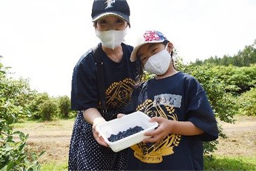 ハスカップの収穫体験会05