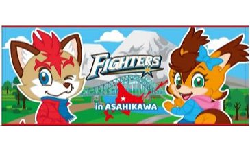 フェイスタオル