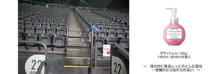 脂肪燃焼!美脚シート