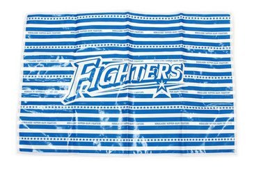 レジャーシート