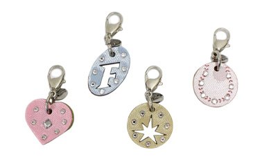 FIGHTERSｘgingam　チャーム