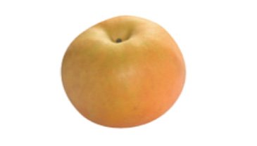 鎌ケ谷特産の梨