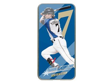 両面ガラスバッテリー