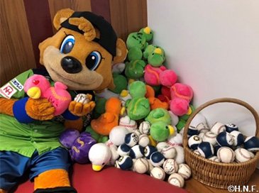 2021鎌スタのホームランボール・あひるのがーのぬいぐるみ