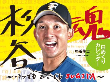非売品】2017ファイターズ日めくりカレンダー （2017年