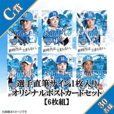 C賞:選手直筆サイン1枚入りオリジナルポストカード6枚組