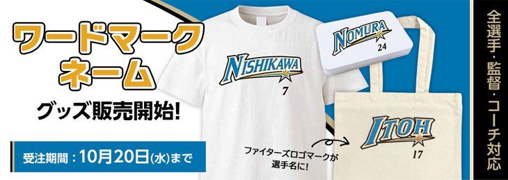 全選手対応グッズ