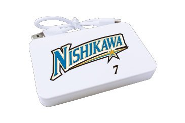 モバイルバッテリー【受注】