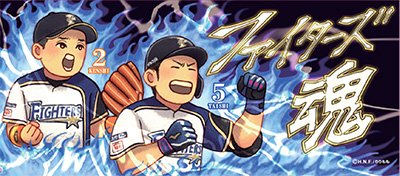 北海道日本ハムファイターズ バスタオル タオル ファイターズ ファンクラブ特典 北海道日本ハムファイターズ バスタオル タオル ファイターズ