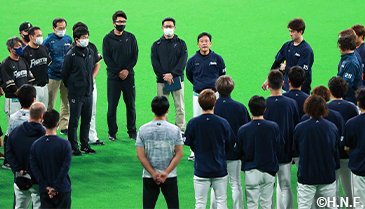 希少 北海道ファイターズ ￼ 栗山監督￼ - メルカリ