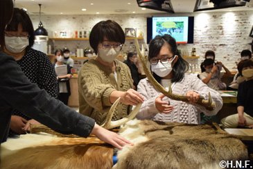 フレップと学ぶ・味わうエゾシカ授業01