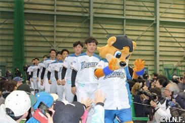 北海道日本ハムファイターズ　スタジャン　鎌ヶ谷　送料無料 北海道日本ハムファイターズ スタジャン 鎌ヶ谷 送料無料 - メルカリ