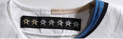 襟の内側の七光星