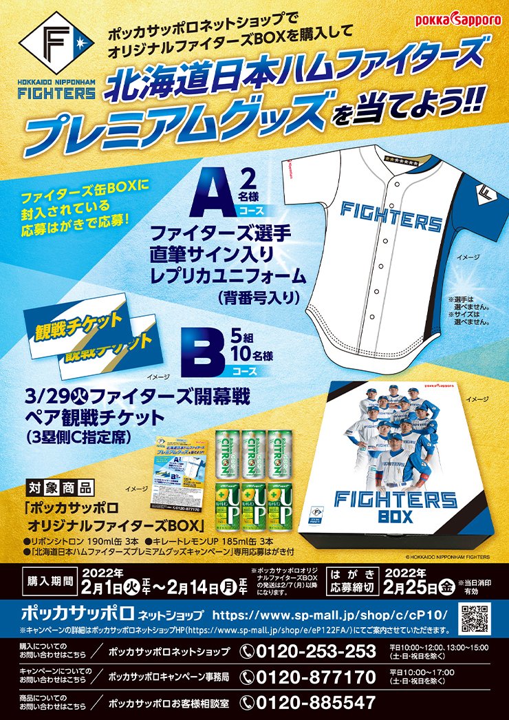 【希少】ニッポンハムファイターズ 日本ハムファイターズ Baseballs Collectibles & Memorabilia