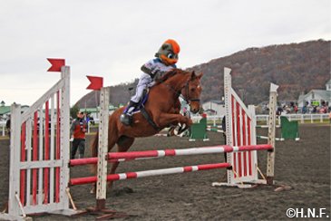 乗馬障害飛越競技にチャレンジ