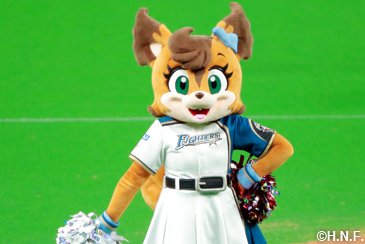 ポリーポラリス 実使用ユニフォーム