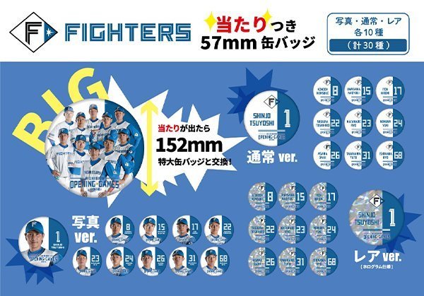 日本ハムファイターズ缶バッジガチャ （北海道日本ハム