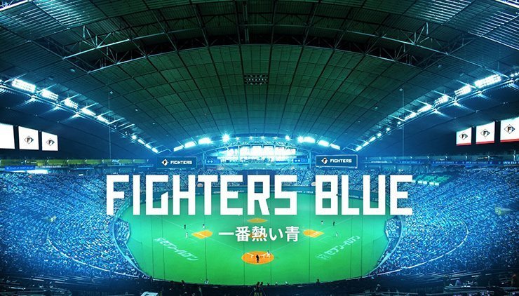 FIGHTERS BLUE イメージ