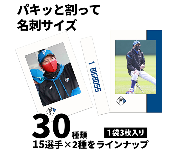 シークレットミニフォト