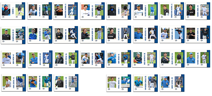 シークレットミニフォトコレクション