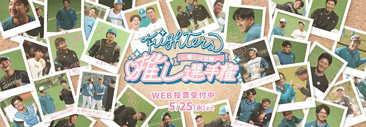 ファイターズ推し選手権―推しは宝物―
