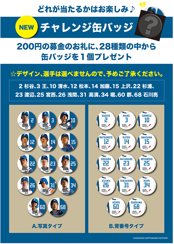 チャレンジ缶バッジ