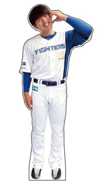 FIGHTERS GIRLS SERIES 2022》「推しナイン」の等身大フォト FIGHTERS GIRLS SERIES 2022》「推しナイン」の等身大フォト