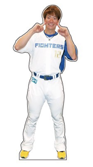 北海道日本ハムファイターズ 2017 新入団選手フォトパネル