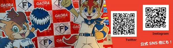 ファイターズ×GAORAコラボステッカー