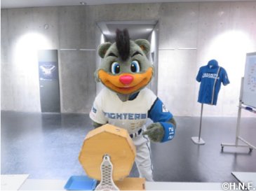 北海道シリーズ2022 WE LOVE HOKKAIDO》ユニフォームの掲出