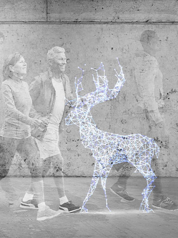 The Place of Reminiscence