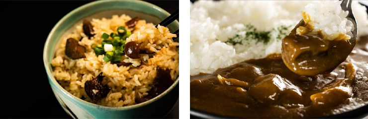 愛別町 きのこ飯の素&あいべつ舞茸と大雪高原牛カレーセット