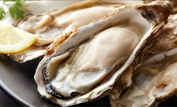 知内町 冷凍カキ