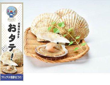 小樽市 小樽祝津産ホタテ『おタテ』