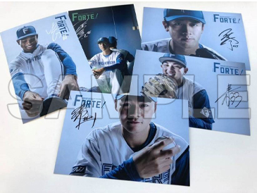 FORTEオリジナルポストカード(1枚)