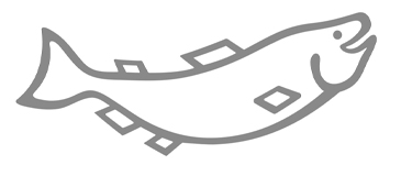 フライングサーモン