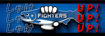 しゃけまるビジョン しゃけUP