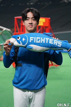 80cm 北海道ぎょれん×しゃけまる ぬいぐるみ02