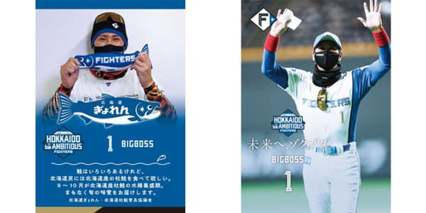 北海道ぎょれんコラボ×しゃけまる」限定ベースボールカードの