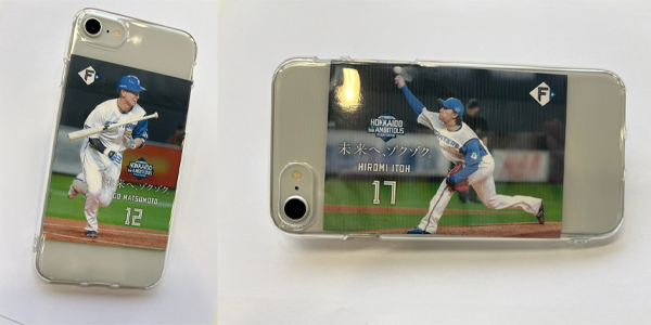 ［スマホに入れた写真］