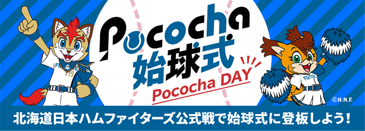 Pococha DAY