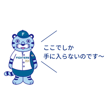 ファイターズ×チンタイガー