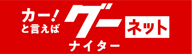 カー！と言えばグーネットナイター