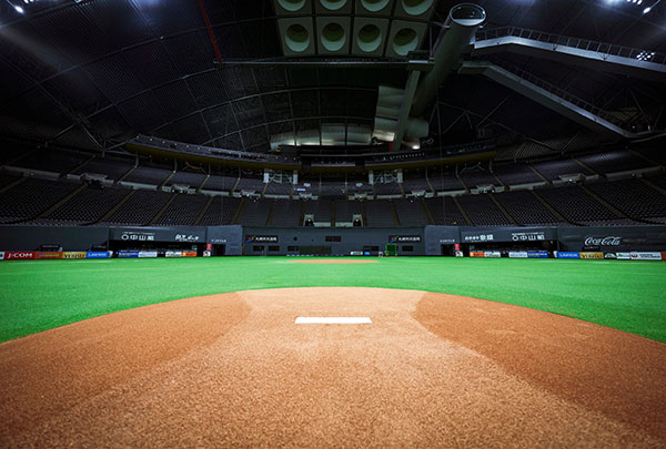 撮影された写真イメージ