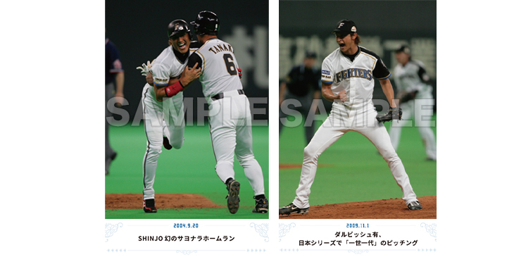 ファンが選ぶ FIGHTERS MEMORIAL PHOTO AWARD〉投票結果発表 ファンが選ぶ FIGHTERS MEMORIAL PHOTO AWARD〉投票結果発表