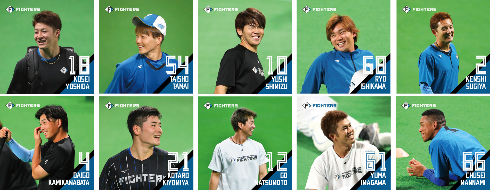 ここに画像タイトルが入ります