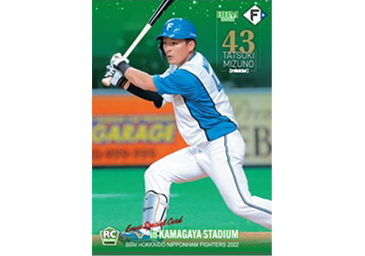 鎌スタ☆ファイナルシリーズ 直前情報 | 北海道日本ハムファイターズ